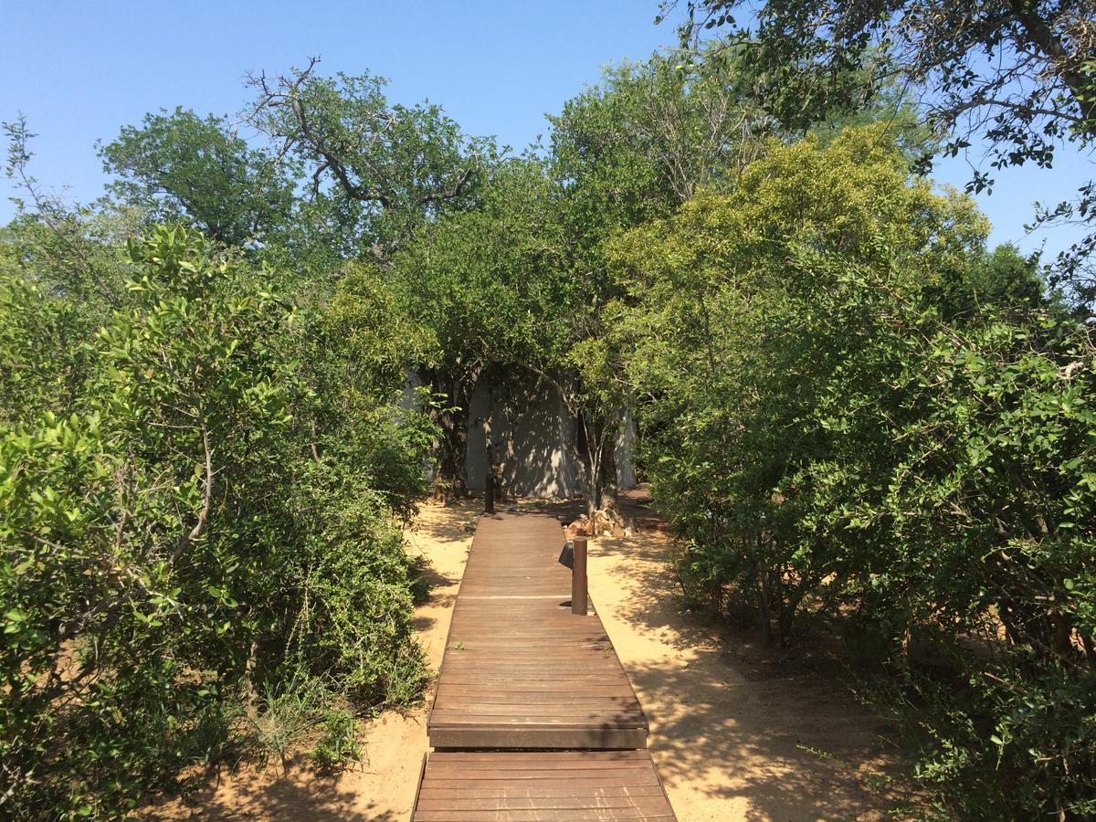 הודספרויט Leadwood Lodge מראה חיצוני תמונה