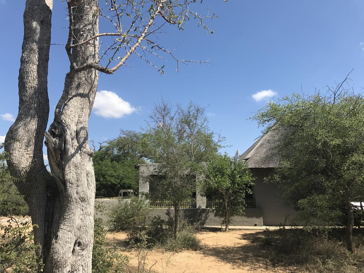הודספרויט Leadwood Lodge מראה חיצוני תמונה